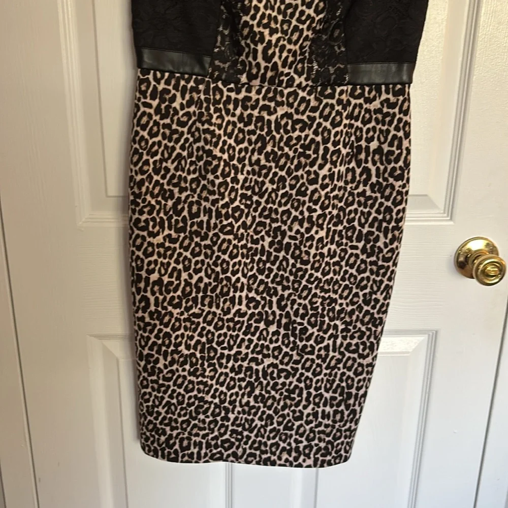 Lace and Leopard Print Pencil Dress - Picture 4 of 8